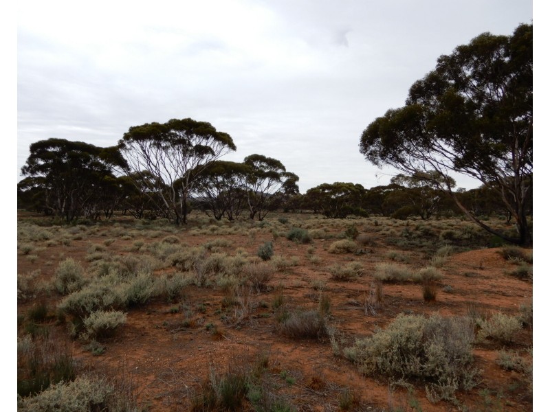 Oodla Wirra SA 5422