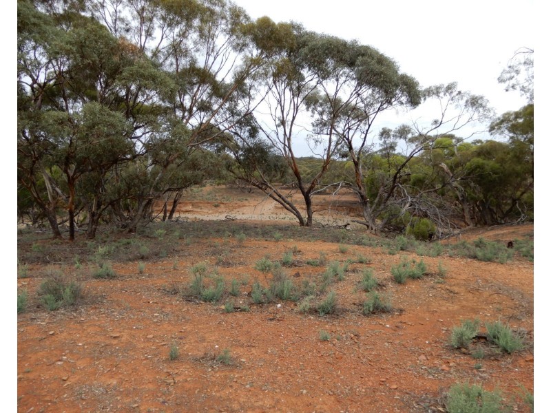 Oodla Wirra SA 5422
