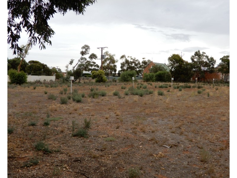 Lot 252 Main Street, Terowie SA 5421