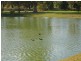 11/21 Southmead Green, Erskine WA 6210