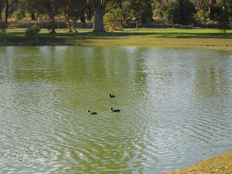 11/21 Southmead Green, Erskine WA 6210