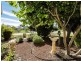 119 Fendam Street, Warnbro WA 6169