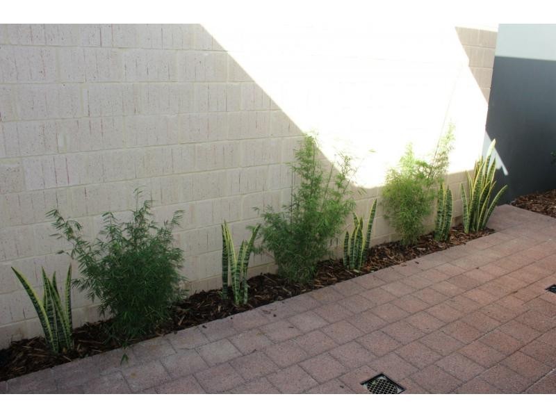 3 Merrin Court, Falcon WA 6210