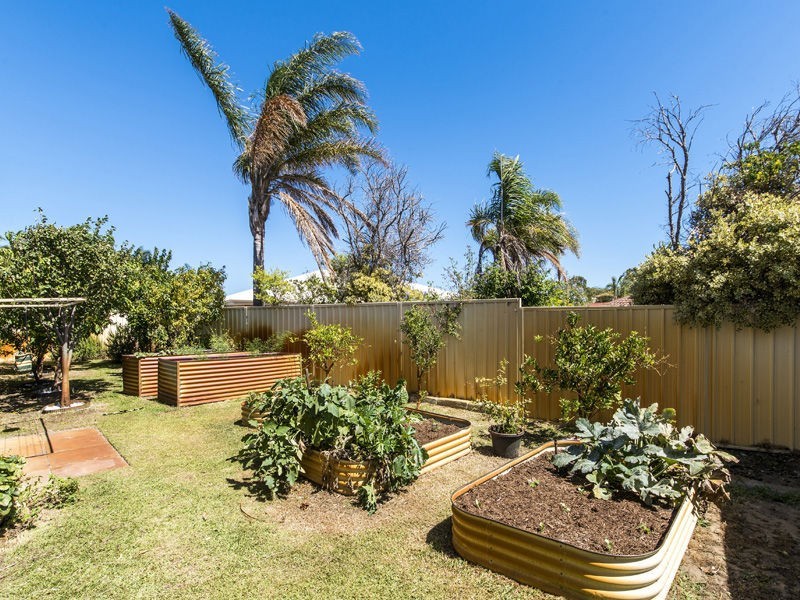 63 Templetonia Promenade, Halls Head WA 6210