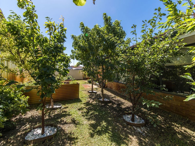 63 Templetonia Promenade, Halls Head WA 6210