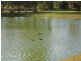 6/21 Southmead Green, Erskine WA 6210