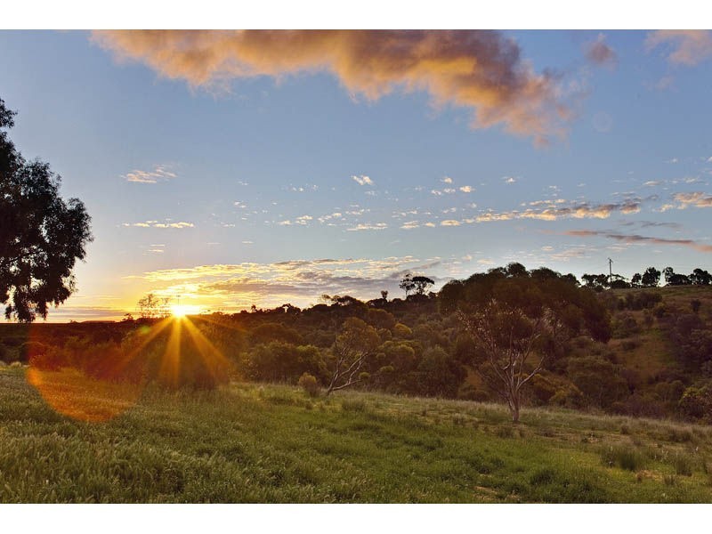 16 Beresford Avenue, Christie Downs SA 5164