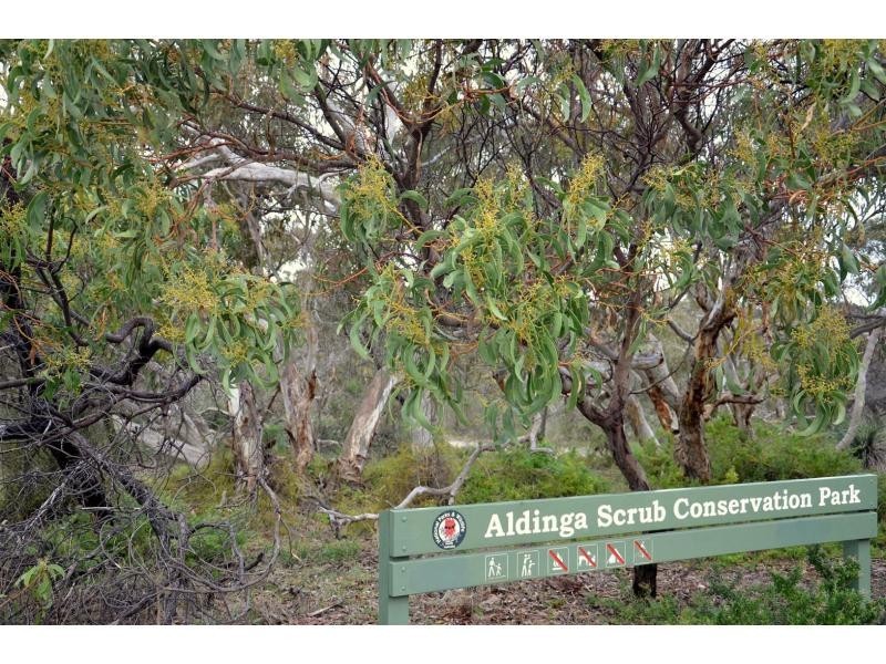 77 Dover Street, Aldinga Beach SA 5173