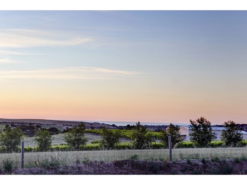 81 Caffrey Street, Mclaren Vale SA 5171