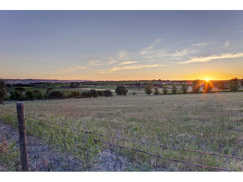 81 Caffrey Street, Mclaren Vale SA 5171
