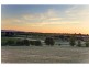81 Caffrey Street, Mclaren Vale SA 5171