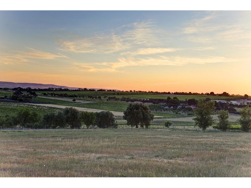 81 Caffrey Street, Mclaren Vale SA 5171