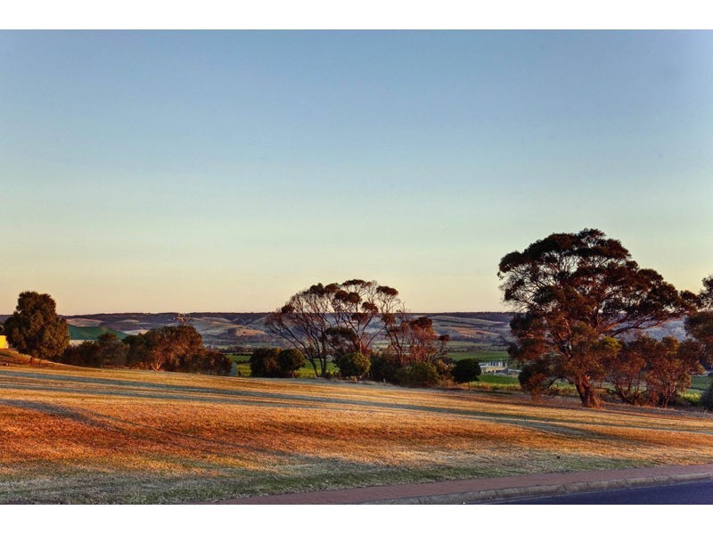 81 Caffrey Street, Mclaren Vale SA 5171