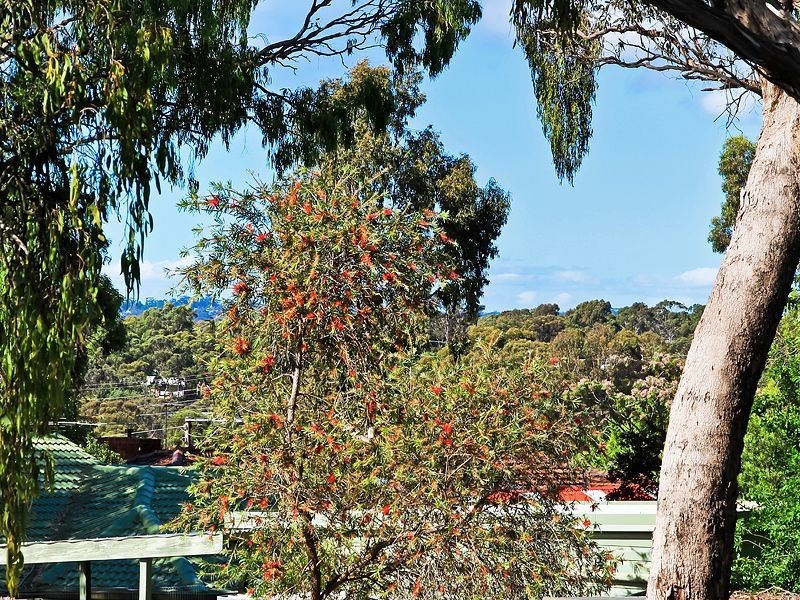 53 Black Road, Flagstaff Hill SA 5159