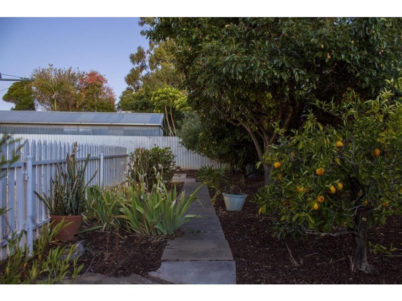 8 The Triangle, Warradale SA 5046