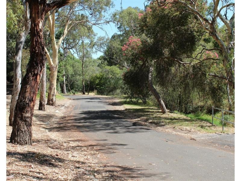 20 Cameron Avenue, Darlington SA 5047