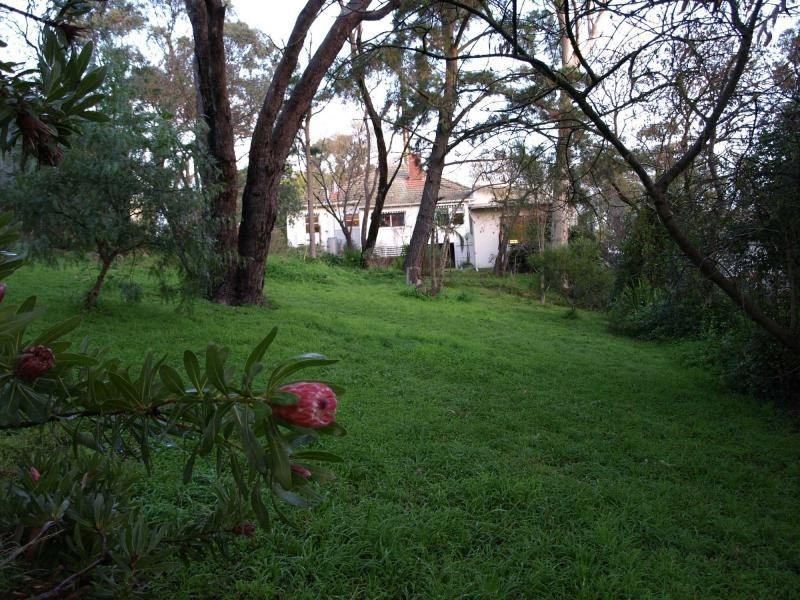 16 Young Street, Blackwood SA 5051