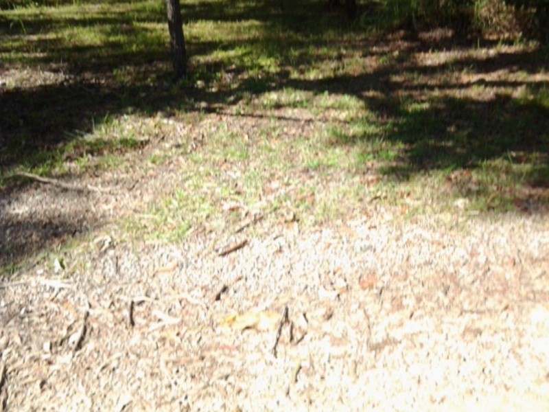 4 Pindarri Street, Lamb Island QLD 4184