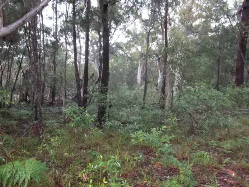 106 Centre Road, Russell Island QLD 4184