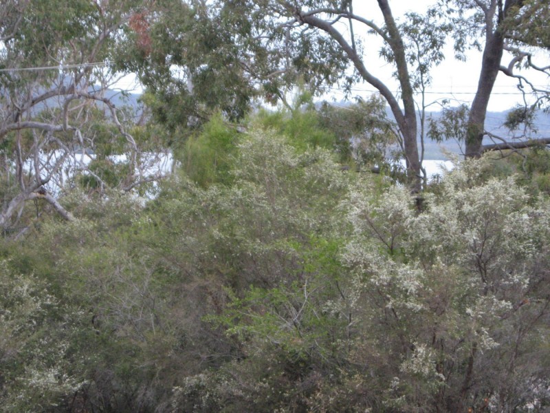 5 Orme Drive, Russell Island QLD 4184