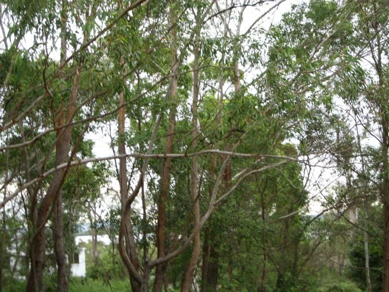 Russell Island QLD 4184