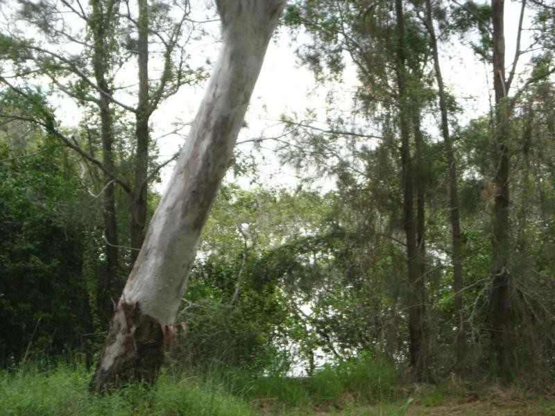 Russell Island QLD 4184