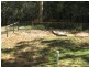 Russell Island QLD 4184