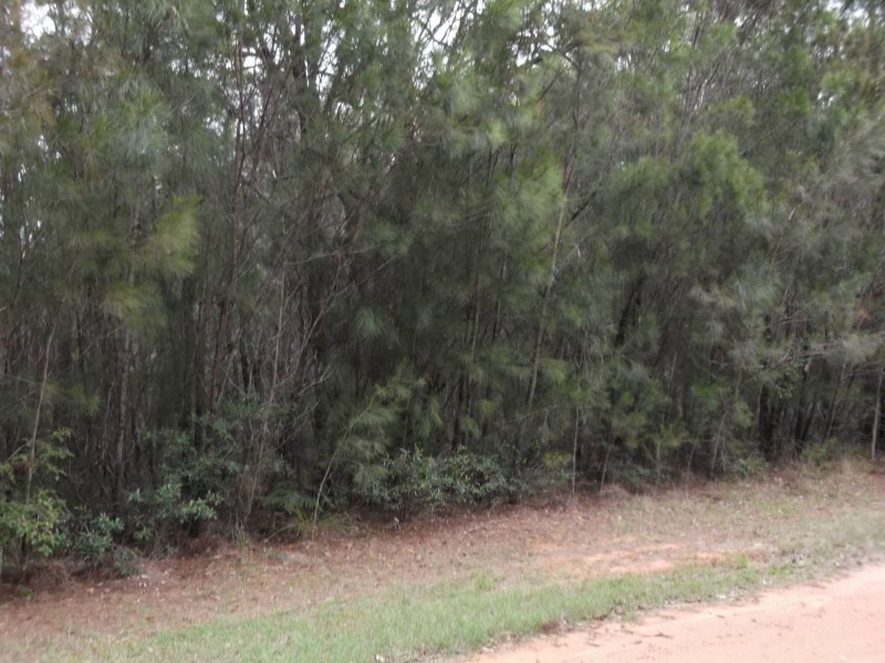 38 Tahlin Drive, Russell Island QLD 4184