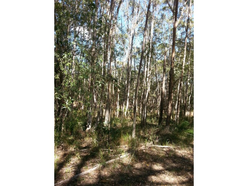 22 Harvey Street, Russell Island QLD 4184