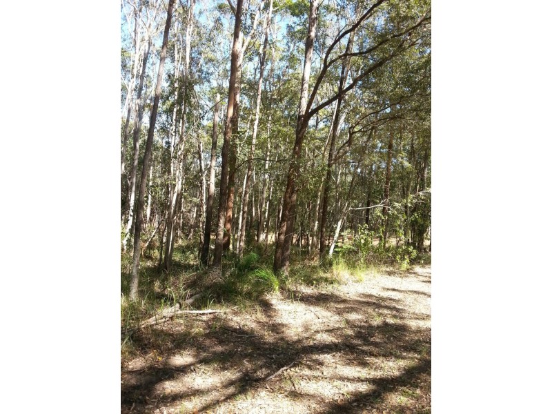 22 Harvey Street, Russell Island QLD 4184