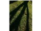Russell Island QLD 4184