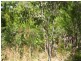 Russell Island QLD 4184