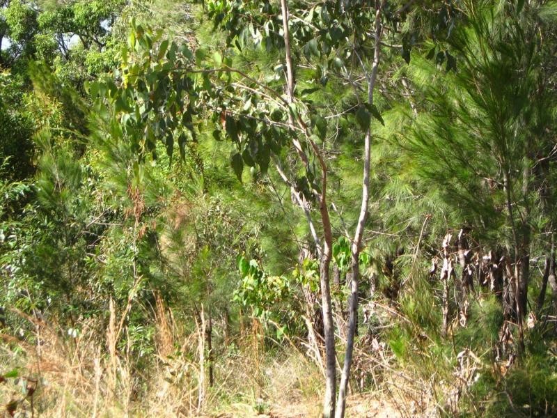Russell Island QLD 4184