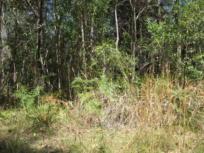 Russell Island QLD 4184