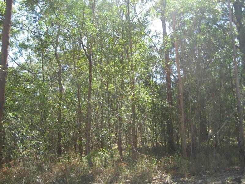 25 Cook Avenue, Russell Island QLD 4184