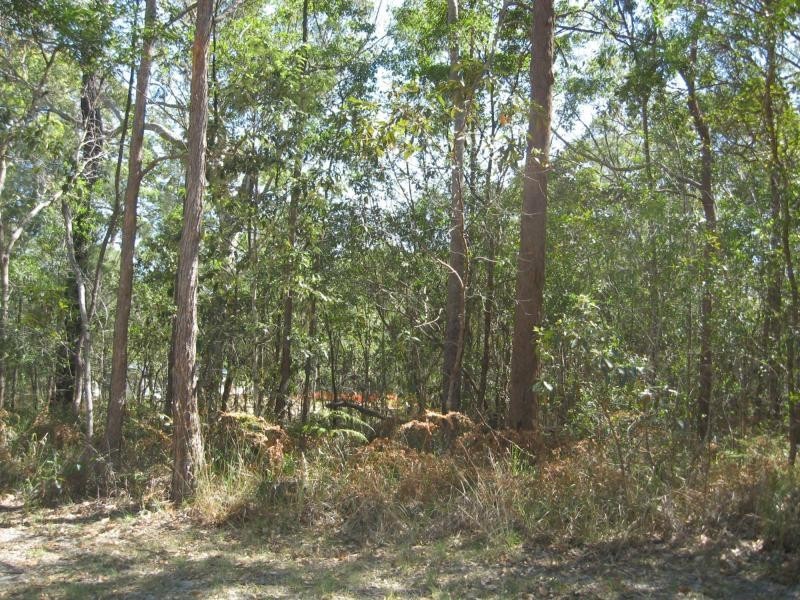 25 Cook Avenue, Russell Island QLD 4184