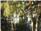 Russell Island QLD 4184