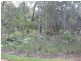 Russell Island QLD 4184