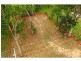 Russell Island QLD 4184