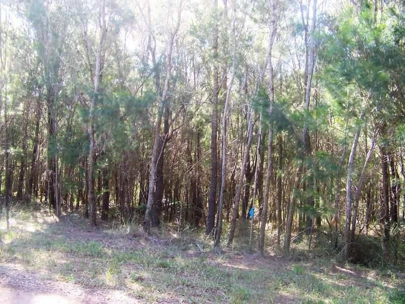 33 Aquamarine Avenue, Russell Island QLD 4184