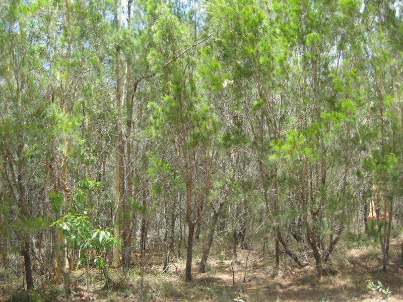 36 Rampart Drive, Russell Island QLD 4184