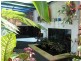 Russell Island QLD 4184