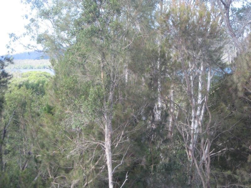 Russell Island QLD 4184