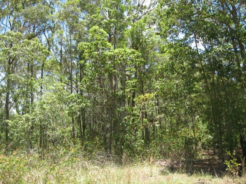 3 Darling Street, Russell Island QLD 4184