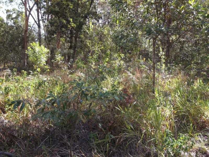 55 Woodlands Circuit, Russell Island QLD 4184