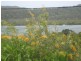 Russell Island QLD 4184