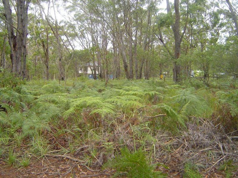 Russell Island QLD 4184