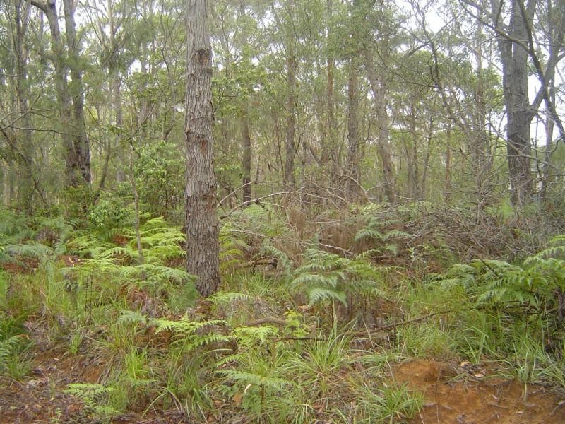 Russell Island QLD 4184