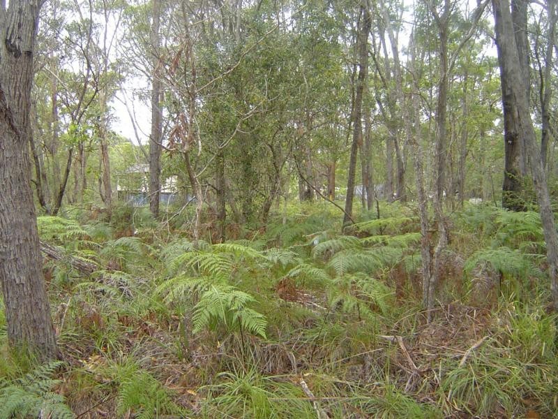 Russell Island QLD 4184