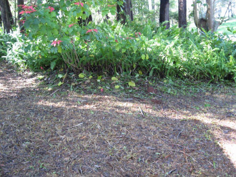 Russell Island QLD 4184